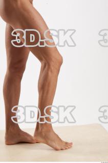 Leg reference of Rufus 0009